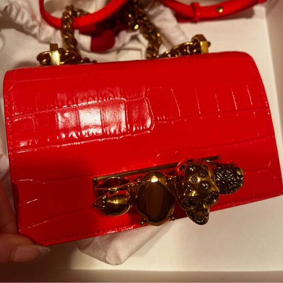 Brand new . Never worn. Alexander McQueen bag - Picture 2 of 8